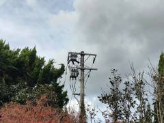 public-facility-pas-replacement-1